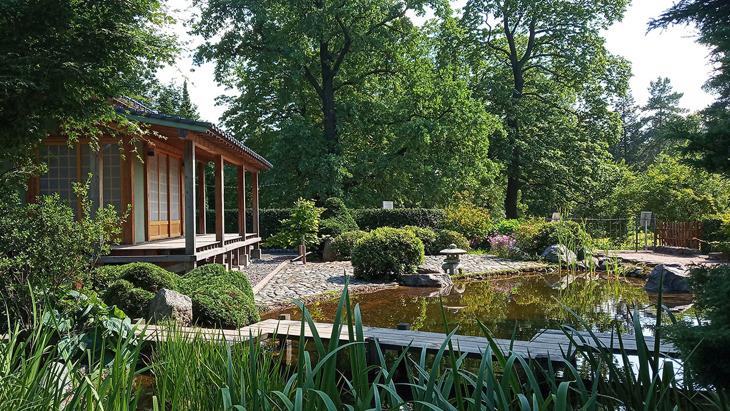 Японский сад в Ботаническом саду имени Петра Великого.