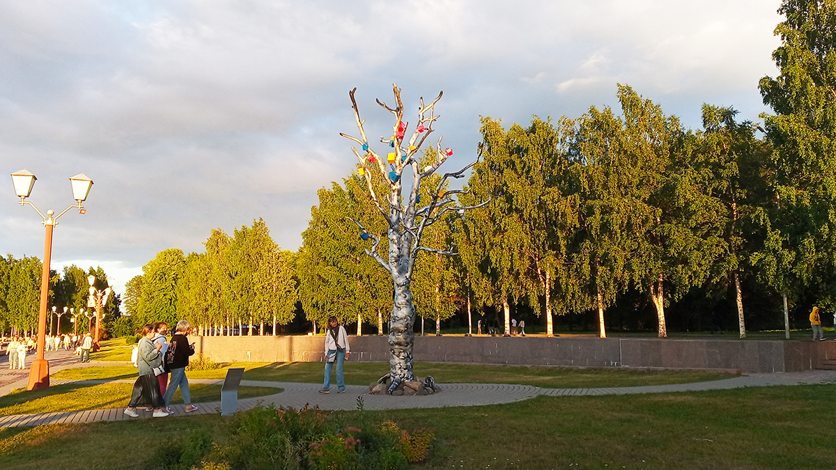 Дерево желаний на набережной в Петрозаводске.
