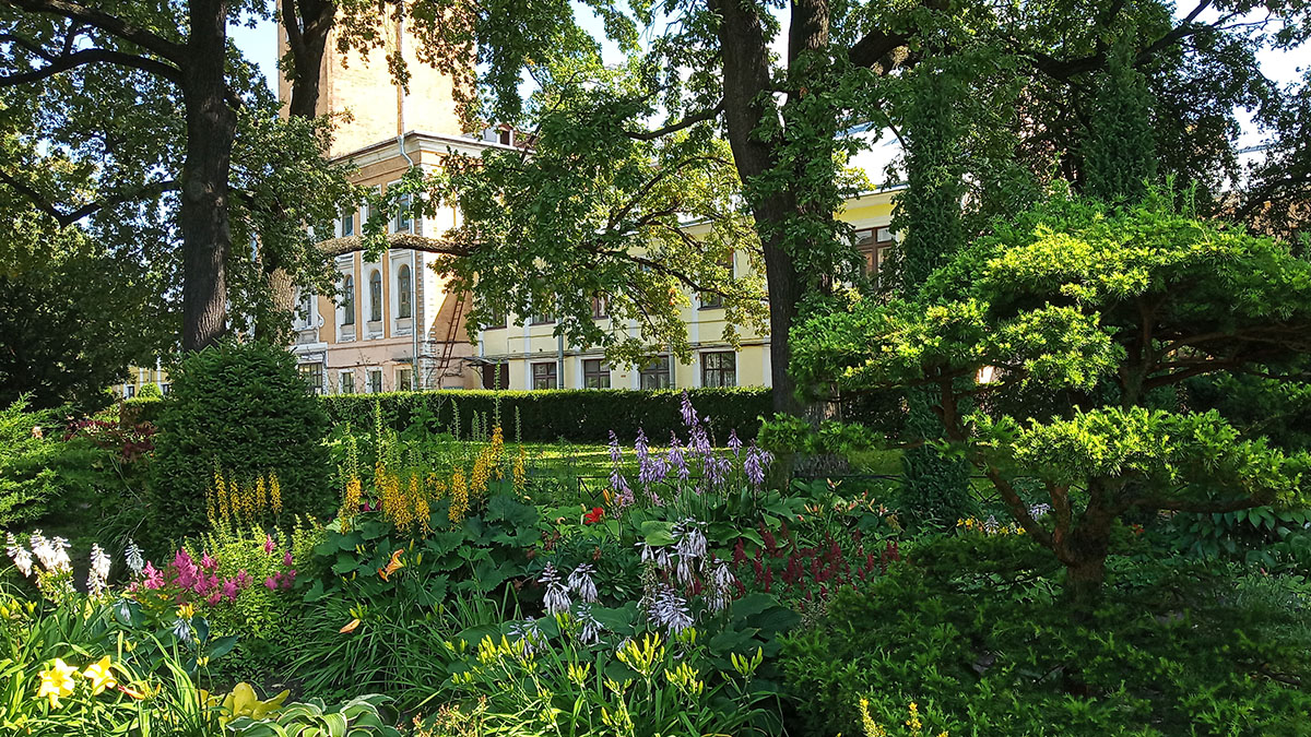 Сад непрерывного цветения в Ботаническом саду Петра Великого.