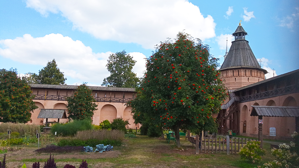 Спасо-Евфимиев монастырь.