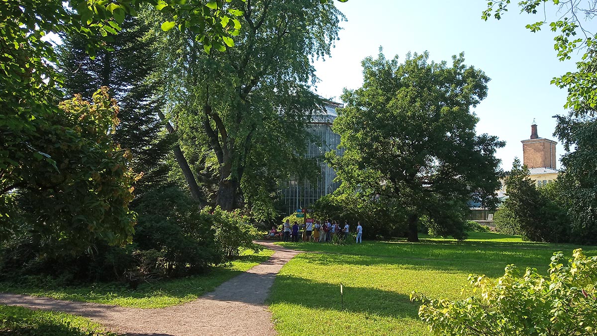 Ботанический сад СПб.