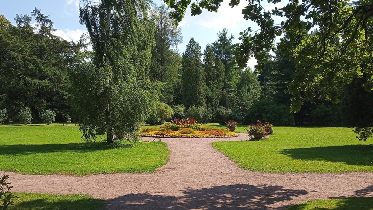 Цветник Ботанический сад в СПб.