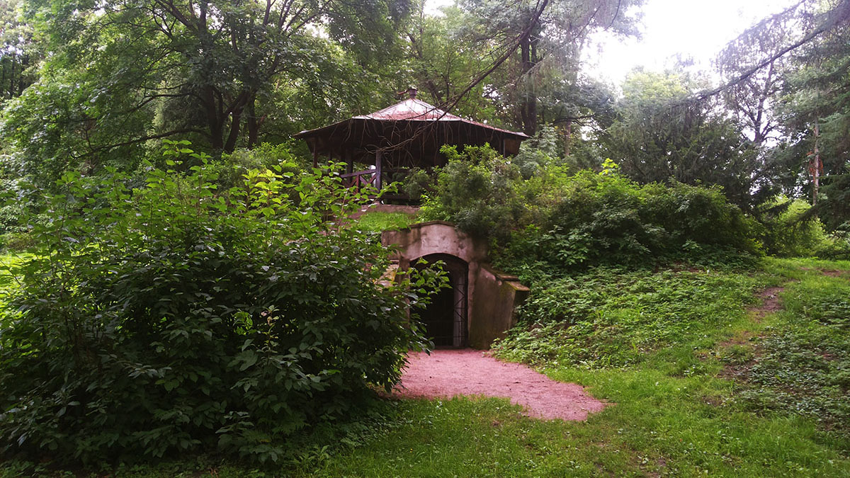 Парк-Дендрарий Ботанический сад на Петроградской.